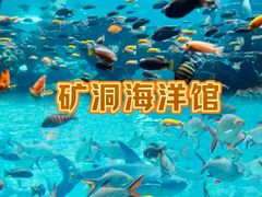 -长鹿旅游休博园