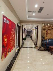 -碧莲盛·不剃发植发