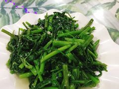-四姑娘川味海鲜(八爪鱼店)