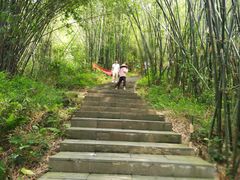 -羚羊峡古栈道森林公园