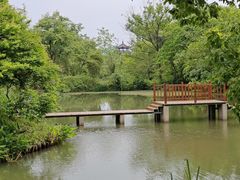 -西溪国家湿地公园