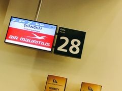 -西沃古尔·拉姆古兰爵士国际机场