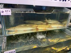 水产区-胖姐渔村(中源大道店)