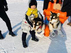 -长春世界雕塑园冰雪艺术天地
