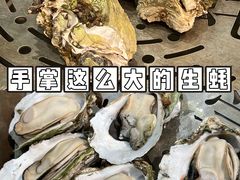 -飞尝蚝·顺德菜·鱼生(顺德总店)