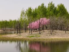 -东郊湿地公园