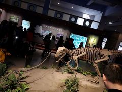 -自贡恐龙博物馆