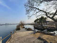 -无锡蠡湖国家湿地公园-蠡园