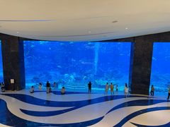 -亚特兰蒂斯•OSSIANO奥西亚诺海底餐厅