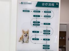 -瑞派康怡24h宠物医院·犬猫医疗中心·微创绝育(瑞景分院)