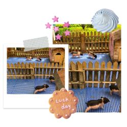 -萌宠亲子动物乐园(槐房万达店)