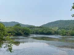 -镇江市南山风景名胜区竹林景区