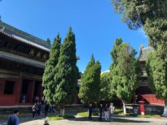 -报恩寺(平武县)