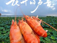 -七的湖·晚芳亭·阳澄湖农家菜·大闸蟹(莲花岛店)