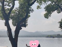 -杭州西湖柳莺里酒店·闻莺厅