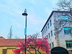 -八大关景区