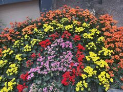 -南山植物园