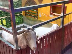 -上海大自然野生昆虫馆(东方明珠·爬宠昆虫探索中心)