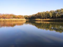 -大兴滨河森林公园