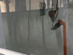 -胶囊画廊