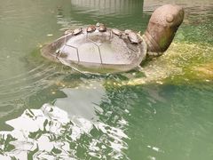 -鼎湖山风景区