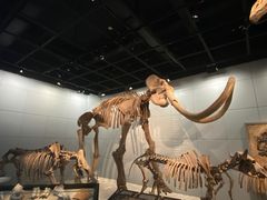 -浙江自然博物院(杭州馆)