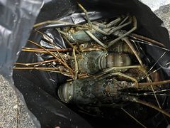 -岳各庄批发市场(西四环中路店)