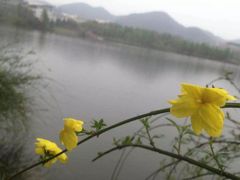 -浙江农林大学(东湖校区)