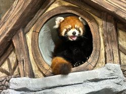 -Zoolung Zoolung动物主题公园(海信广场店)