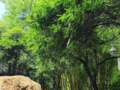 -晓港公园