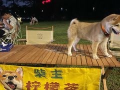 -东莞银行篮球中心