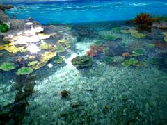 -福州罗源湾海洋世界旅游区