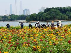 -海珠湖公园