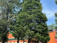 -历代帝王庙博物馆