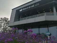 -猫的天空之城概念书店(北戴河蔚蓝海岸店)
