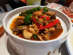 -杨氏青龙虾·羊蝎子(金盛路总店)