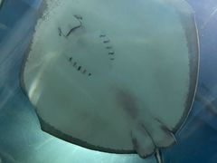 -福州罗源湾海洋世界旅游区