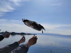 -鸣沙山月牙泉风景名胜区