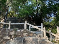 -草庵摩尼教遗址公园