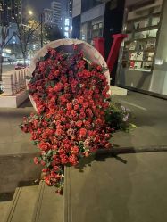 -上海玫瑰医疗美容医院