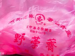 -野荸荠