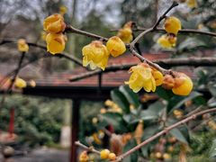 -天目湖御水温泉·度假酒店