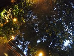-热带风暴水上乐园(新镇路)
