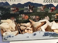 -芸山季·云南山珍菌火锅(南翔印象城MEGA店)