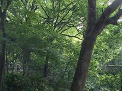 -上海佘山国家森林公园西佘山园