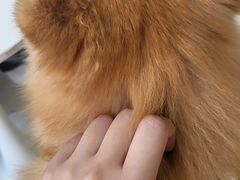 -怪兽屋·羊驼·猫咖·狗咖(俊华广场店)