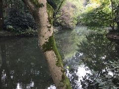 -西湖外事游船(花港观鱼码头)