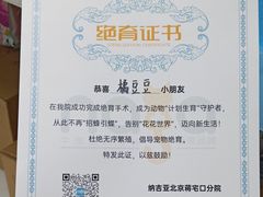 -纳吉亚猫专科动物诊疗中心(蒋宅口分院)