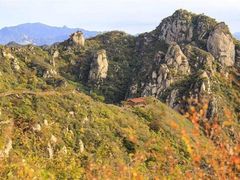 -大岭沟猕猴桃谷风景区