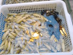 -金谷园饺子·烧烤·家宴(人大总店)